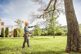 Best Hedge Trimming  in Fairland, OK